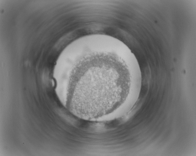 X0000079320140200612081943