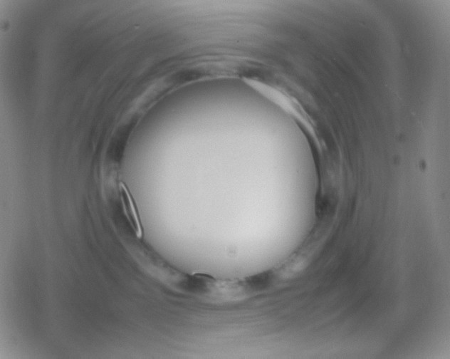 X0000079320141200612081943