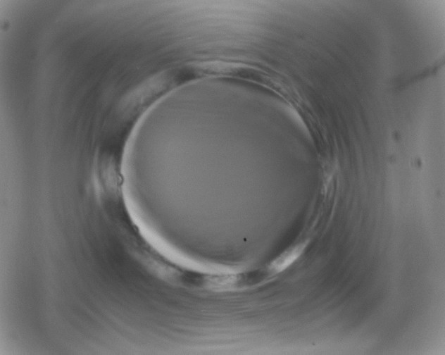 X0000079320143200612081943