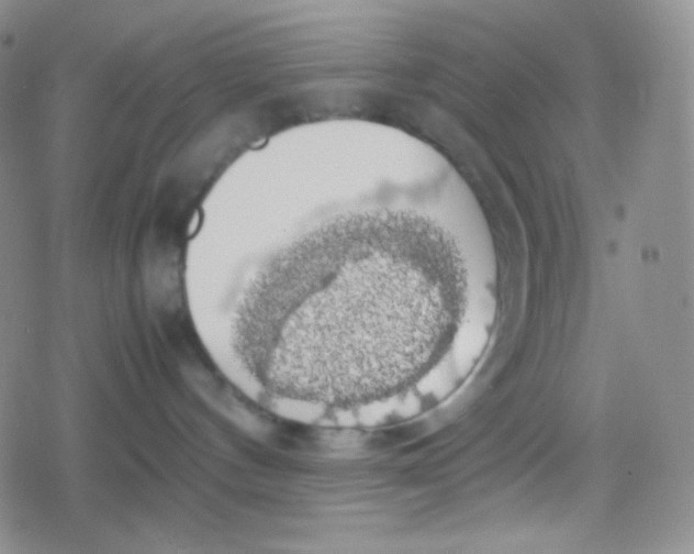 X0000079320144200612081943