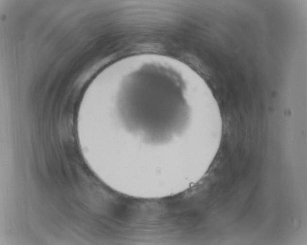 X0000079320146200612081943