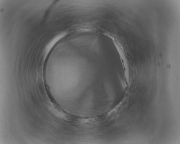 X0000079320147200612081943