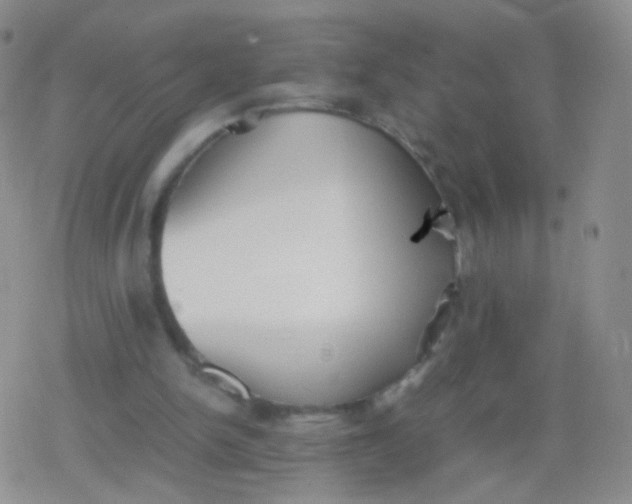 X0000079320150200612081943