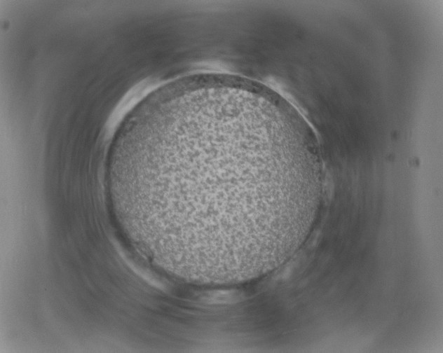 X0000079320151200612081943