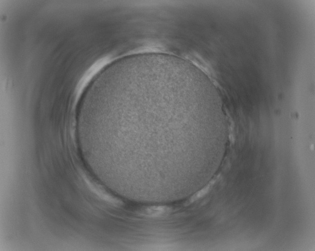 X0000079320152200612081943