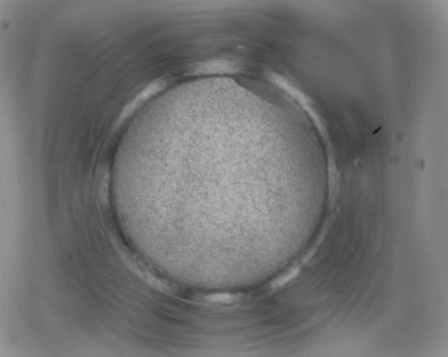 X0000079320153200612081943