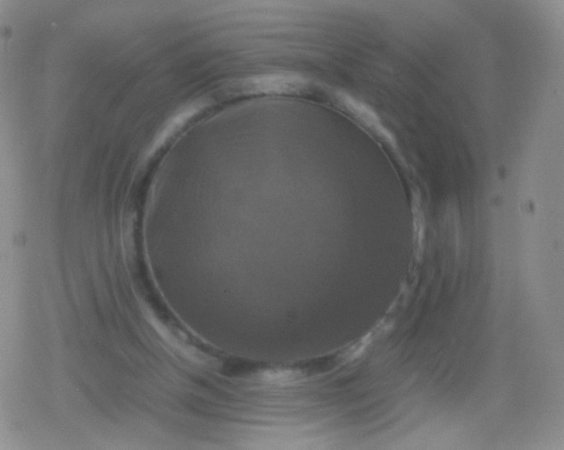 X0000079320154200612081943