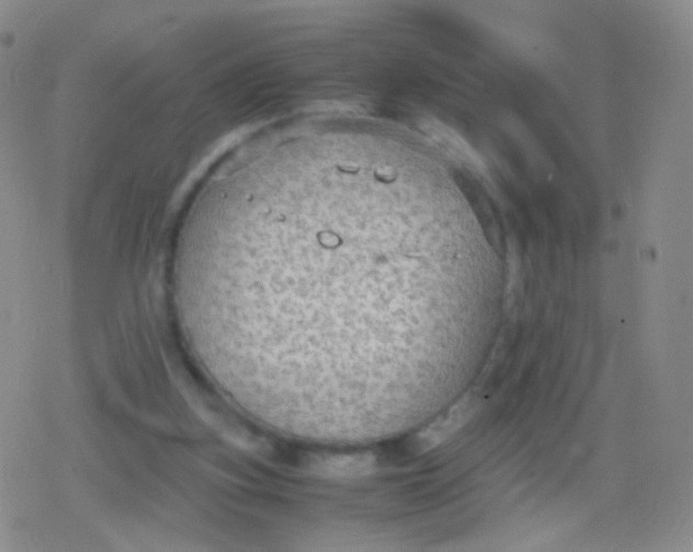 X0000079320155200612081943