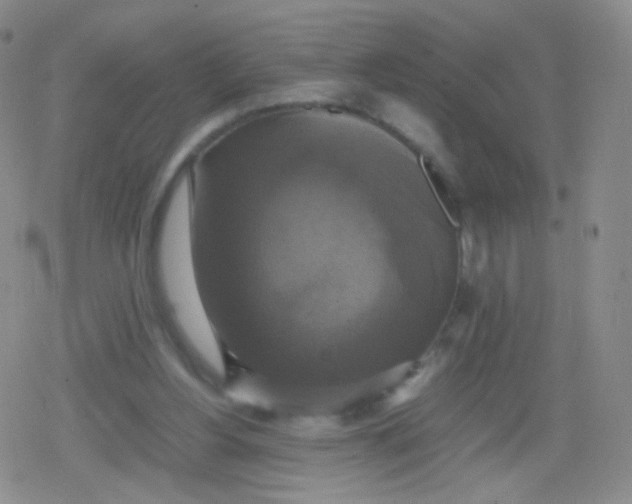 X0000079320156200612081943