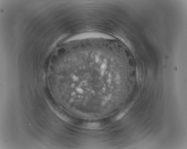 X0000079320157200612081943