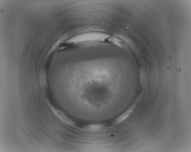 X0000079320158200612081943