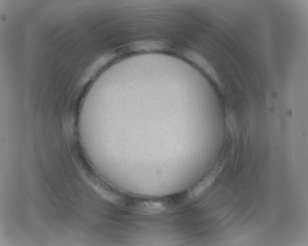 X0000079320159200612081943