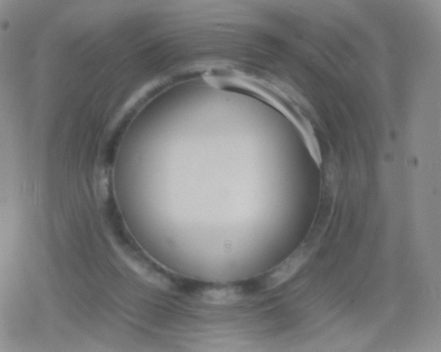 X0000079320160200612081943