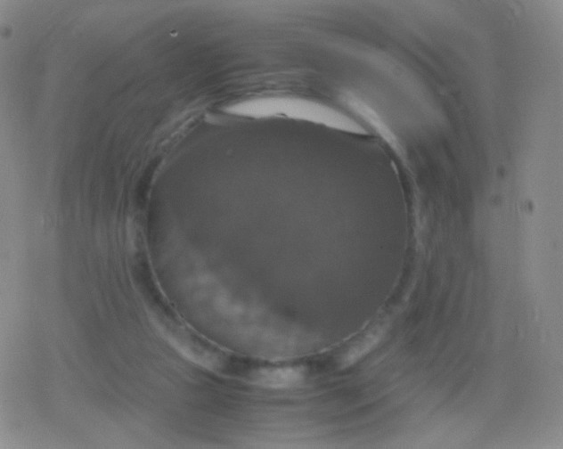 X0000079320161200612081943