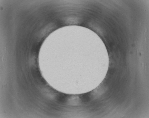 X0000079320162200612081943