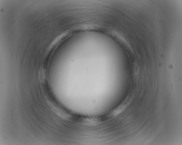 X0000079320164200612081943