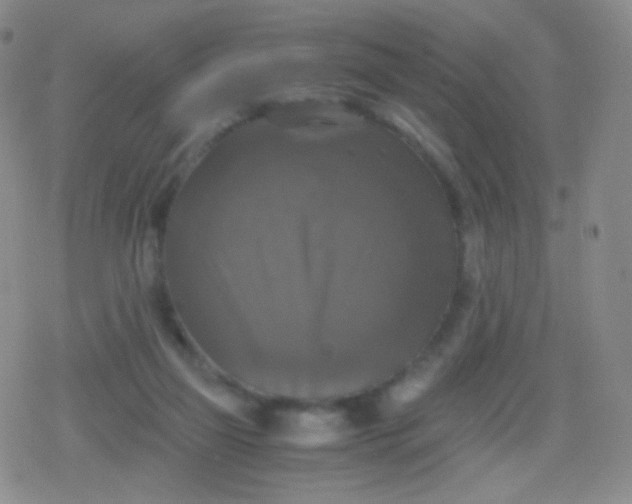 X0000079320165200612081943