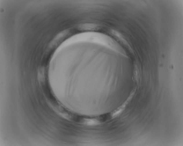 X0000079320167200612081943