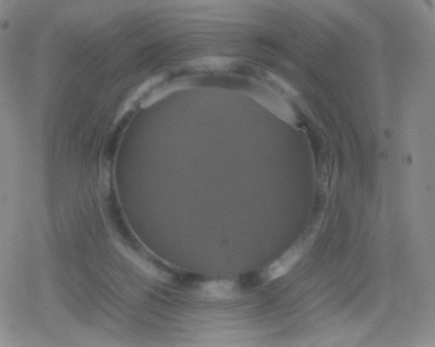 X0000079320168200612081943