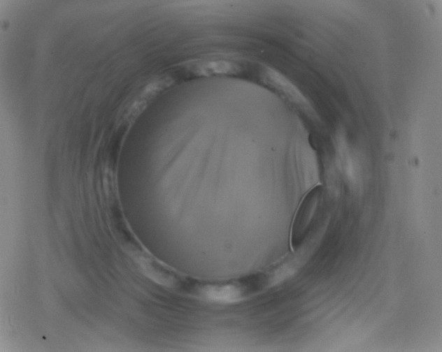 X0000079320169200612081943