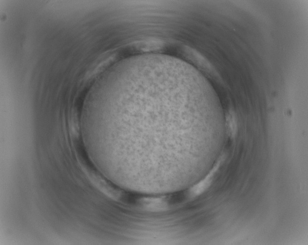 X0000079320170200612081943