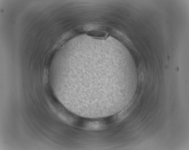 X0000079320171200612081943