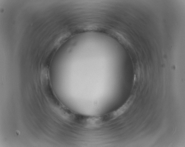 X0000079320172200612081943