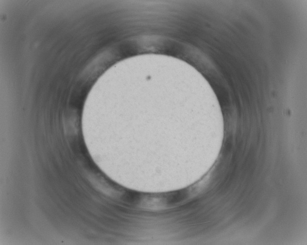 X0000079320174200612081943