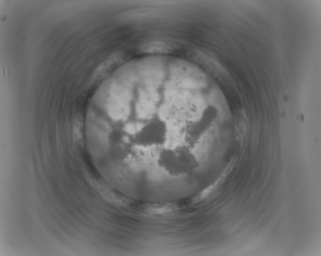 X0000079320175200612081943