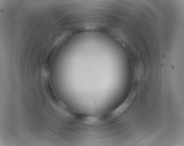 X0000079320176200612081943