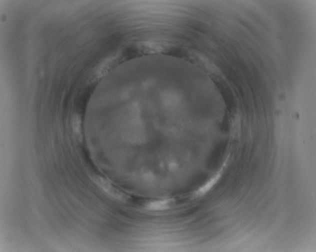 X0000079320178200612081943