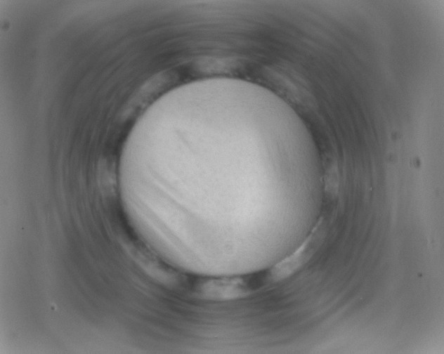 X0000079320179200612081943