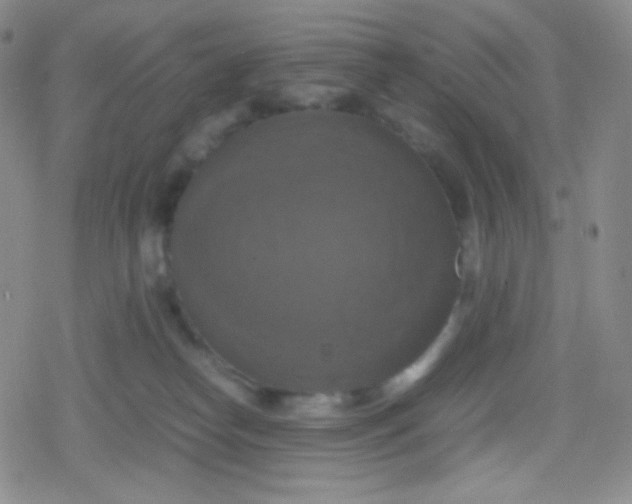 X0000079320182200612081943