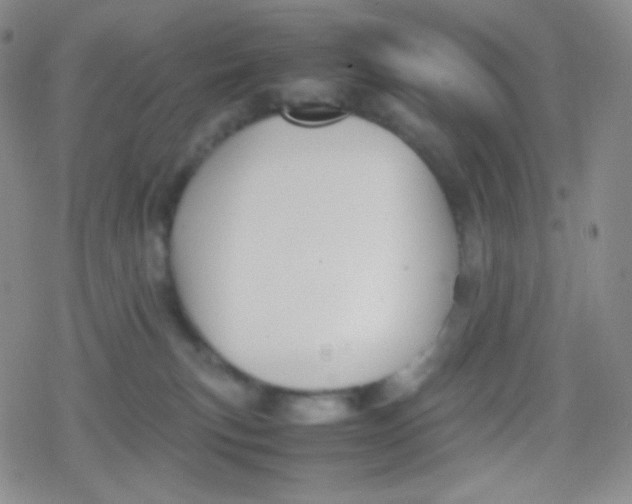 X0000079320183200612081943