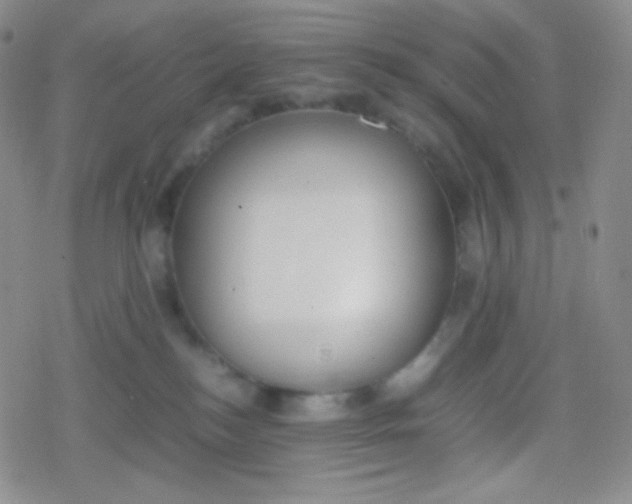 X0000079320184200612081943