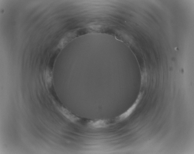 X0000079320186200612081943