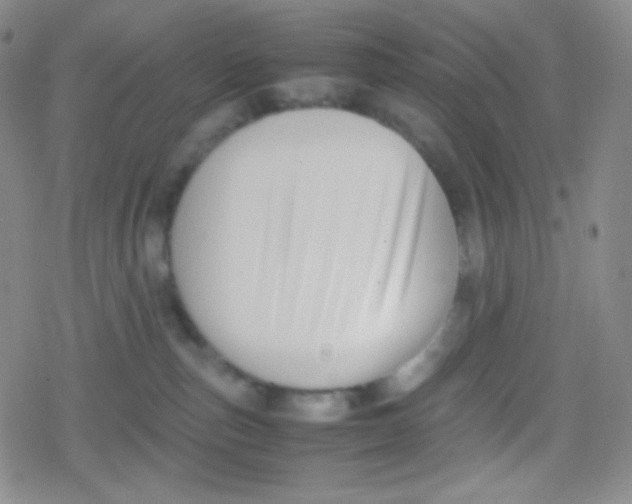 X0000079320187200612081943