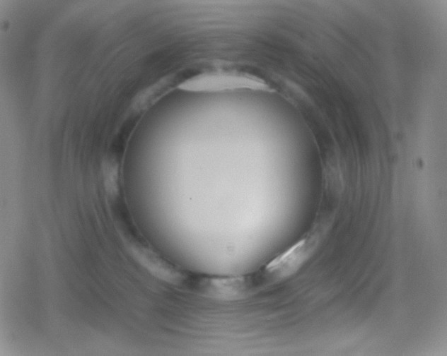 X0000079320188200612081943