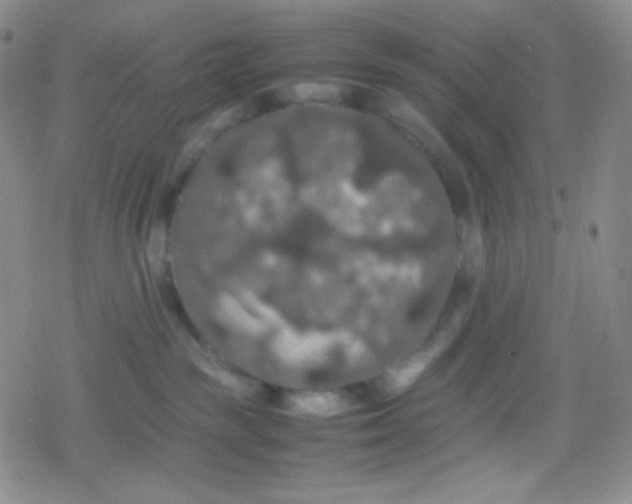 X0000079320189200612081943