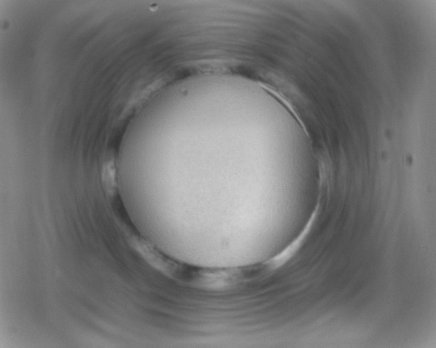 X0000079320190200612081943