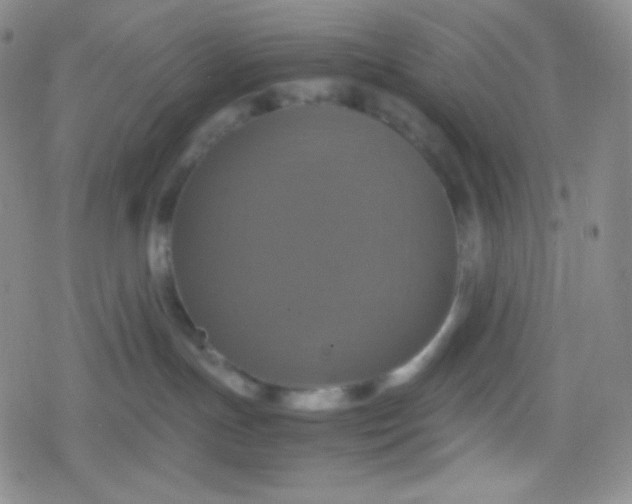 X0000079320191200612081943