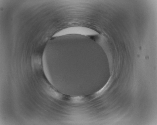 X0000079320192200612081943