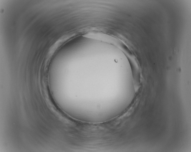 X0000079320193200612081943