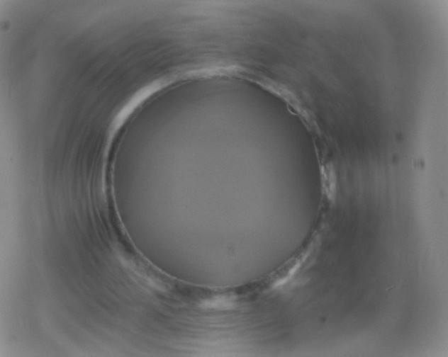 X0000079320196200612081942