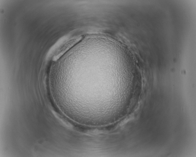 X0000079320197200612081942