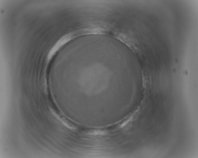 X0000079320198200612081942