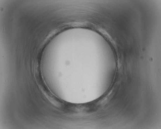 X0000079320201200612081942