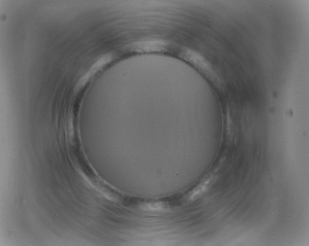 X0000079320202200612081942