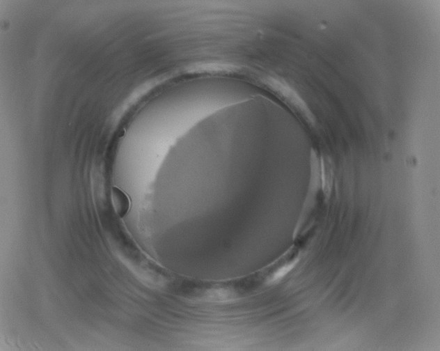 X0000079320204200612081942