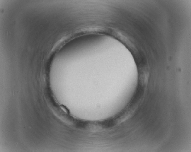 X0000079320207200612081942